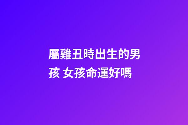 屬雞丑時出生的男孩 女孩命運好嗎